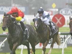 McLaren starts road to the Golden Slipper