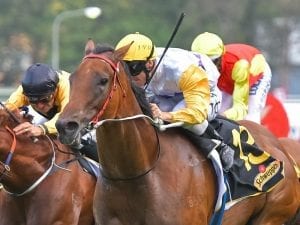 Perizada aims higher after Rosehill win