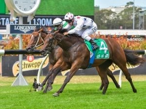 Sunlight has hard-fought win over Estijaab