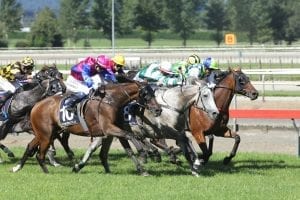 Show The World headed towards third Group 1 Auckland Cup