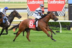 Uncommon James takes out his first Group 1 in Oakleigh Plate