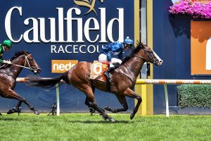 Lofty Strike wins at Caulfield