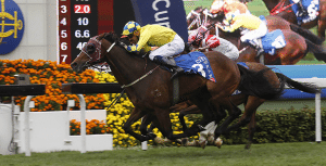 Werther wins Hong Kong Gold Cup