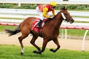 Bendigo Guineas return for Mandalay Bay