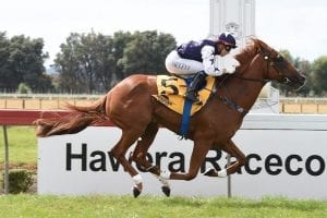 Boss blows his rivals away at Hawera