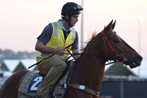 Chris Nash works a horse at Fannie Bay