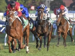 Waller seeking first Coolmore Classic win