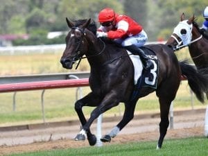 Tiffani Brooker in low-key Doomben return