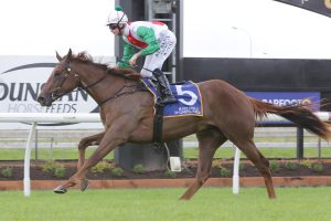 Trainer hoping stars align home and away