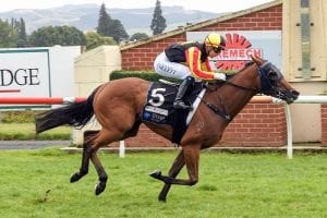 Tasman trip beckons for filly Excelleration