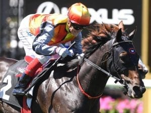 Demonstrate lands the prize at Flemington