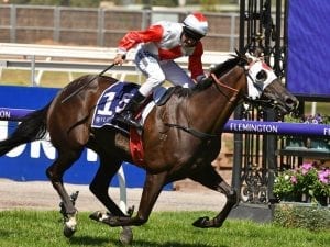 Mystic Journey out to cap campaign in Mile