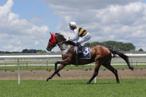 Forsman seeking another Australian Derby