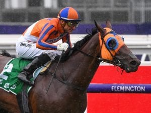 Bosson has Mile confidence in Melody Belle