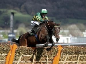 Eespoir D'Allen wins Champion Hurdle