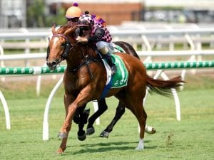 Gun three-year-old to tackle The Jewel