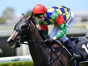 Fish 'N' Snitz to stake her Brisbane Winter Carnival claims