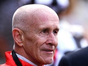 Veteran jockey Lloyd weighs up retirement