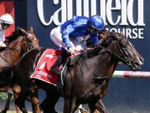 Lyre set to run in the G1 Golden Slipper