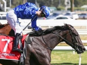 Luke Currie to ride Lyre in Randwick trial