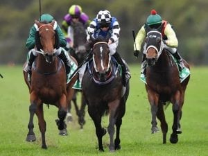 Princess Posh wins Newcastle Newmarket