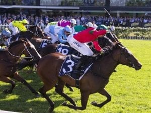 Daysee Doom heads Coolmore Classic field