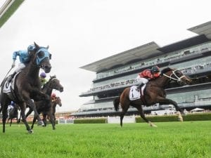 Rosehill Guineas next for The Autumn Sun