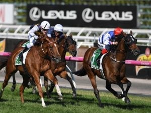 Walker chasing more G1 success in Sydney