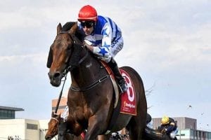 Harlem in upset G1 Australian Cup victory