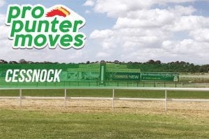 Cessnock market movers for Tuesday, March 13