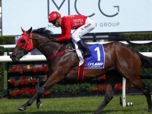 Redzel cruises to Challenge Stakes victory