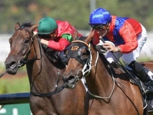 Bullish Brown helps Gem shine at Rosehill