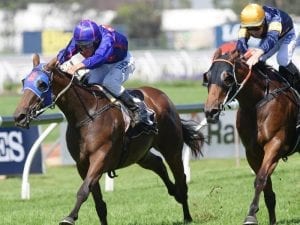 Krone wins in first Sydney appearance