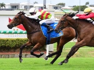 Niedorp hopes for a piece of Slipper magic