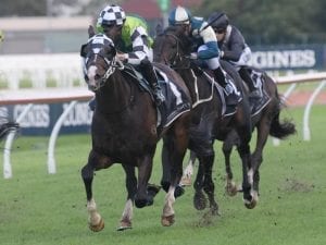 James McDonald enjoys day out at Rosehill