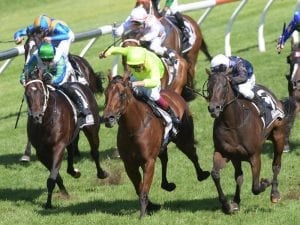 Siren's Fury claims Star Kingdom Stakes