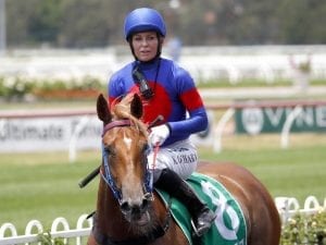 Golden Slipper chance eases pain for Olive