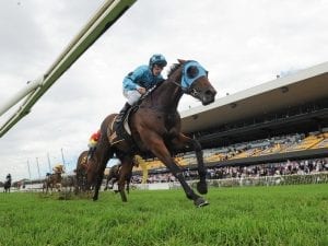 Early Rosehill double for Tulloch Lodge