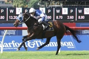 Ellerslie specialist Ruud Not Too wins again