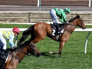 Lindsay Park bluebloods heading to Sandown