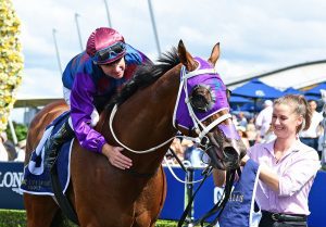 The Shelby Sixtysix story continues at Rosehill