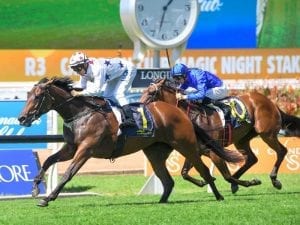 Luke Currie focused on Golden Slipper