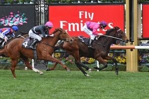 Spanish Reef scores again at Moonee Valley