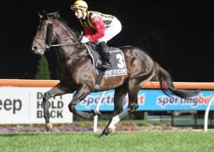 Boom sire to dominate sale