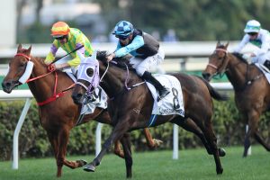 Super Sunny Sing, Beauty Eternal highlight Derby entries