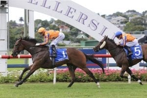 Osman puts his rivals to the sword in Sistema Stakes