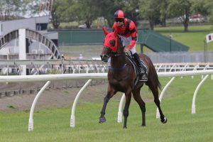 Buyers circling Avondale-bound Hero