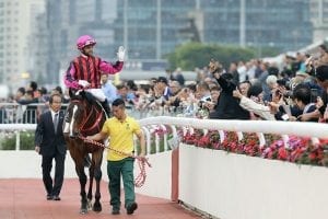 Waikuku, from Riversfield via Currabeg to the BMW Hong Kong Derby