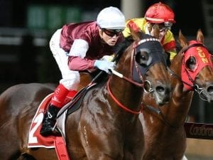 Hellbent lands top spot in G1 William Reid