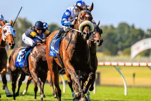 Pounding can box on in Group 1 Australian Cup for Peter Moody